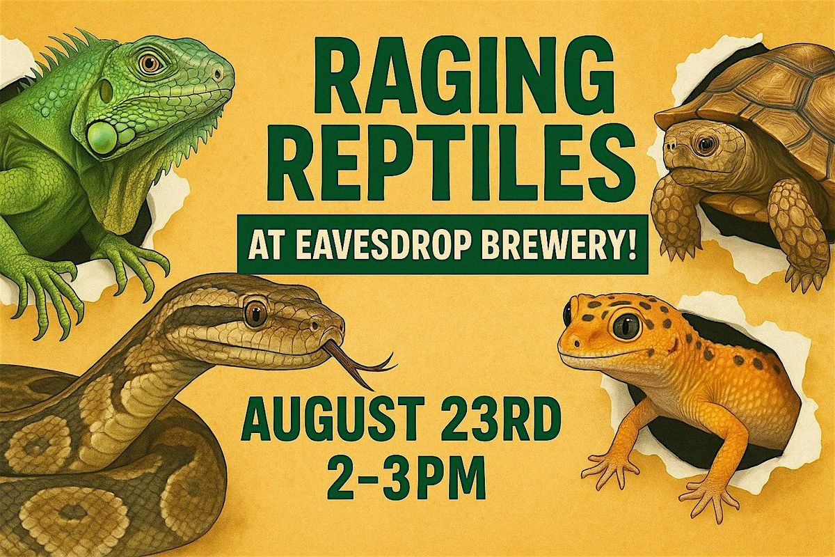 Raging Reptiles Show at Eavesdrop!