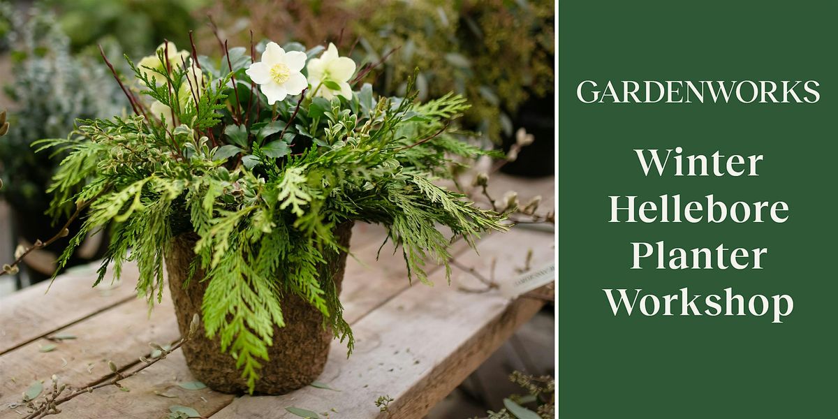 Winter Hellebore Planter Workshop at GARDENWORKS Coquitlam