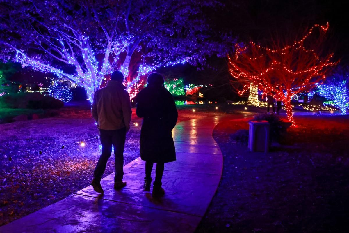 On a Winters Night - Springfield