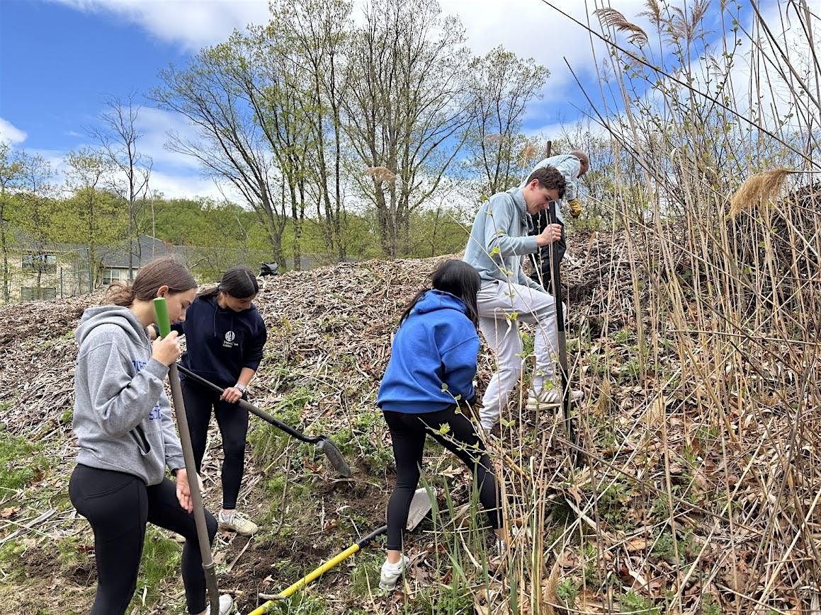 Sunday 11\/23 Volunteer Pollinator Garden & Trail Maintenance - Dobbs Ferry