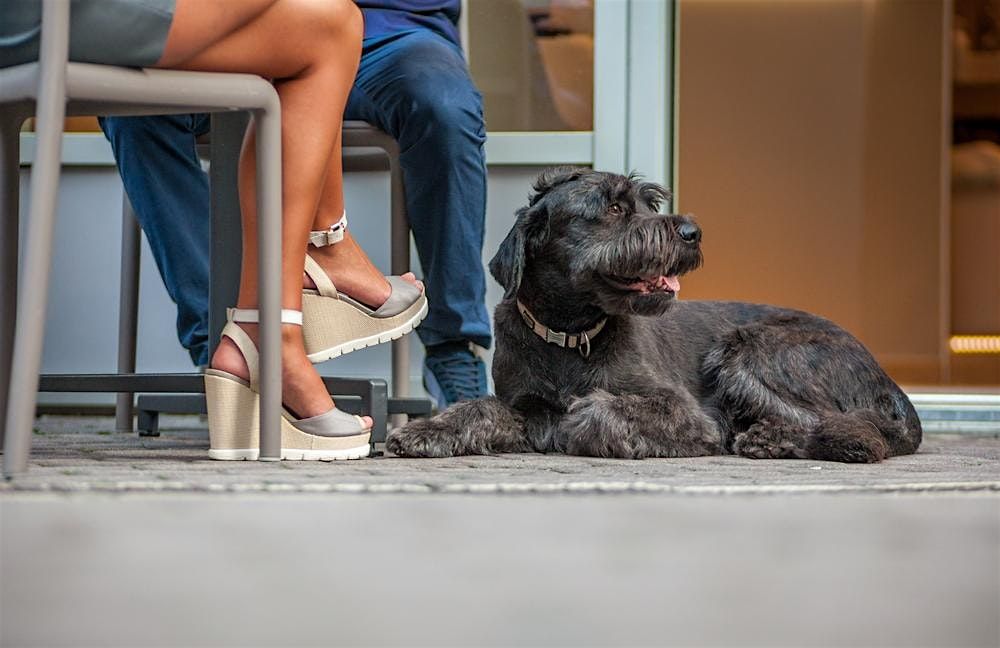 *FLASH SALE45%* As seen on BravoTV! Blind-Date Matchmaking in Vancouver