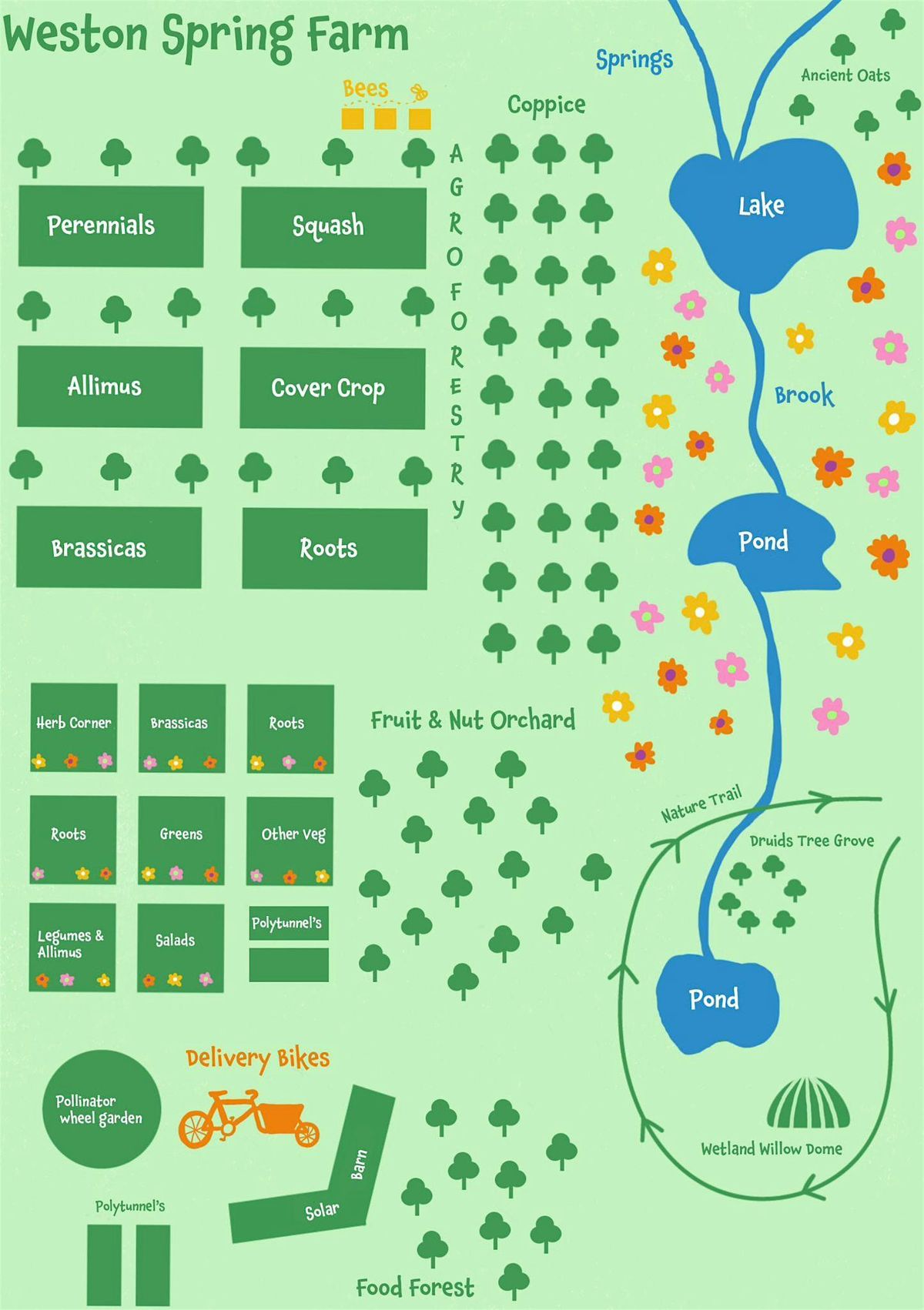 Permaculture Design workshop