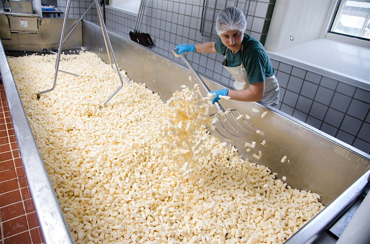 Sun to Cheese Tour 2025