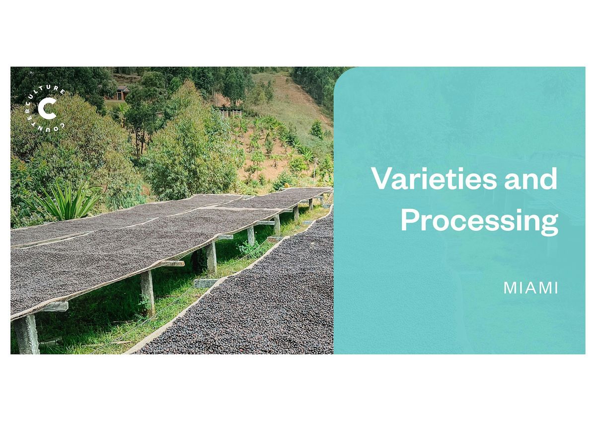 Coffee Origins: Varieties and Processing - Miami