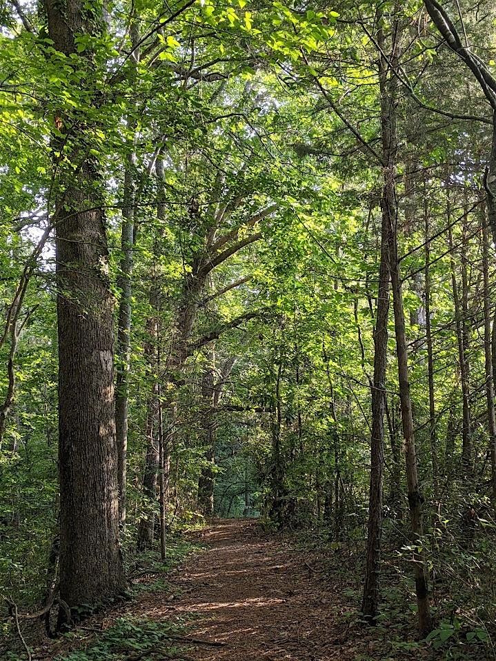 Friday Garden Forays, Fall 2025