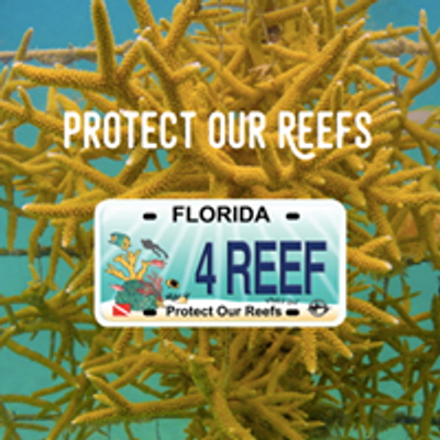 Protect Our Reefs