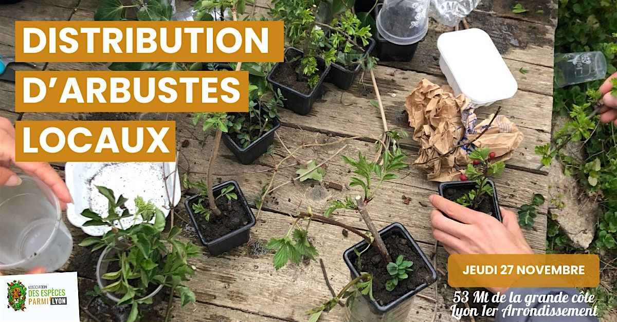 Distribution d'arbustes locaux