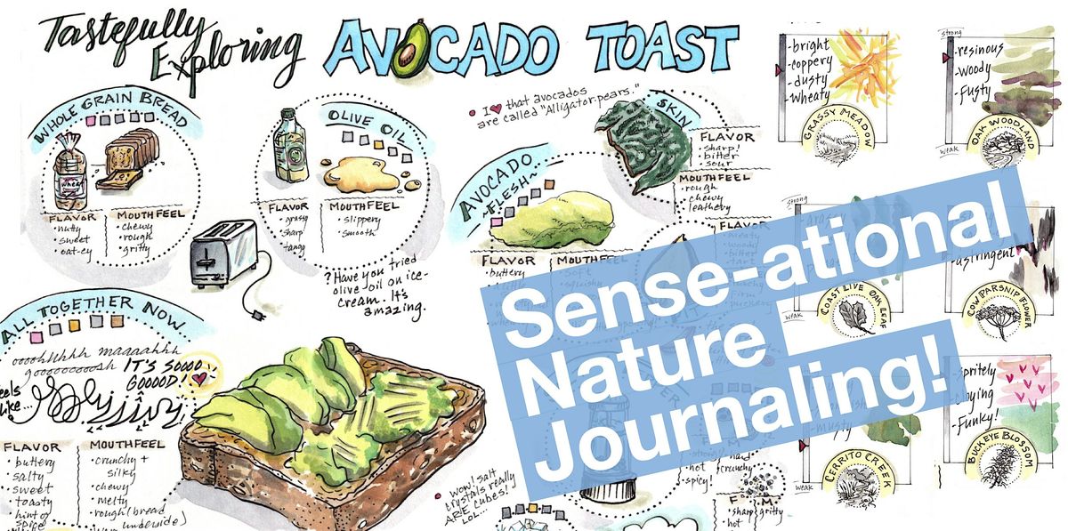 Sense-ational Nature Journaling