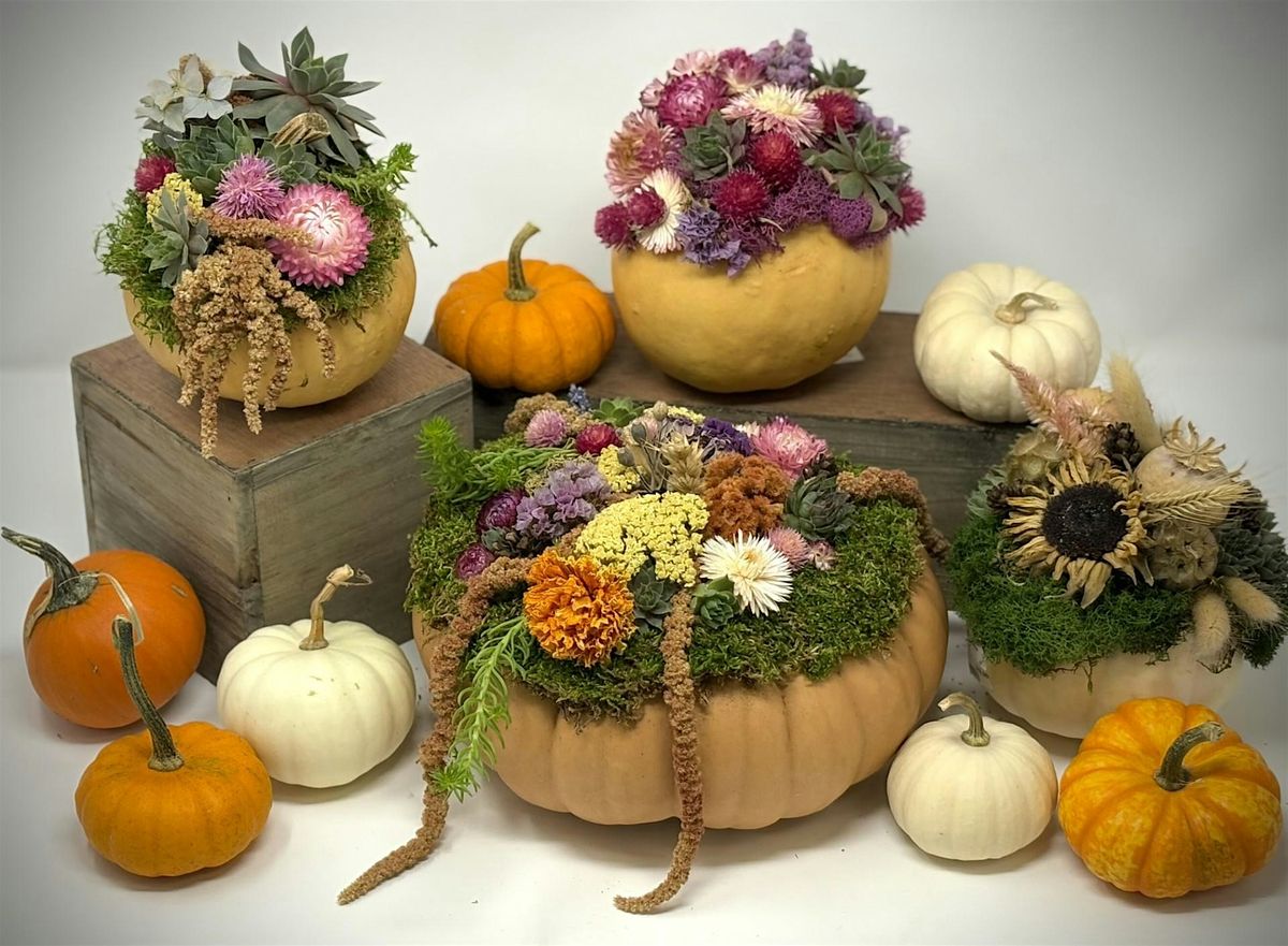 Pumpkin Centerpiece Workshop - Create Your Own Thanksgiving Centerpiece