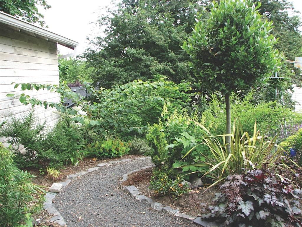 Climate Resilience: In Your Yard and Beyond