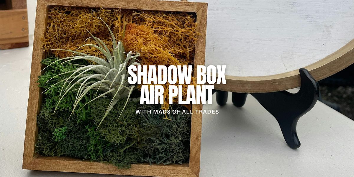 Shadow Box Air Plant Workshop