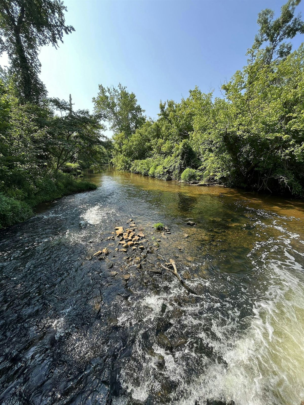 Noman M. Cole, Jr. Water Recycling Facility Open House
