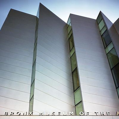 The Bronx Museum of the Arts