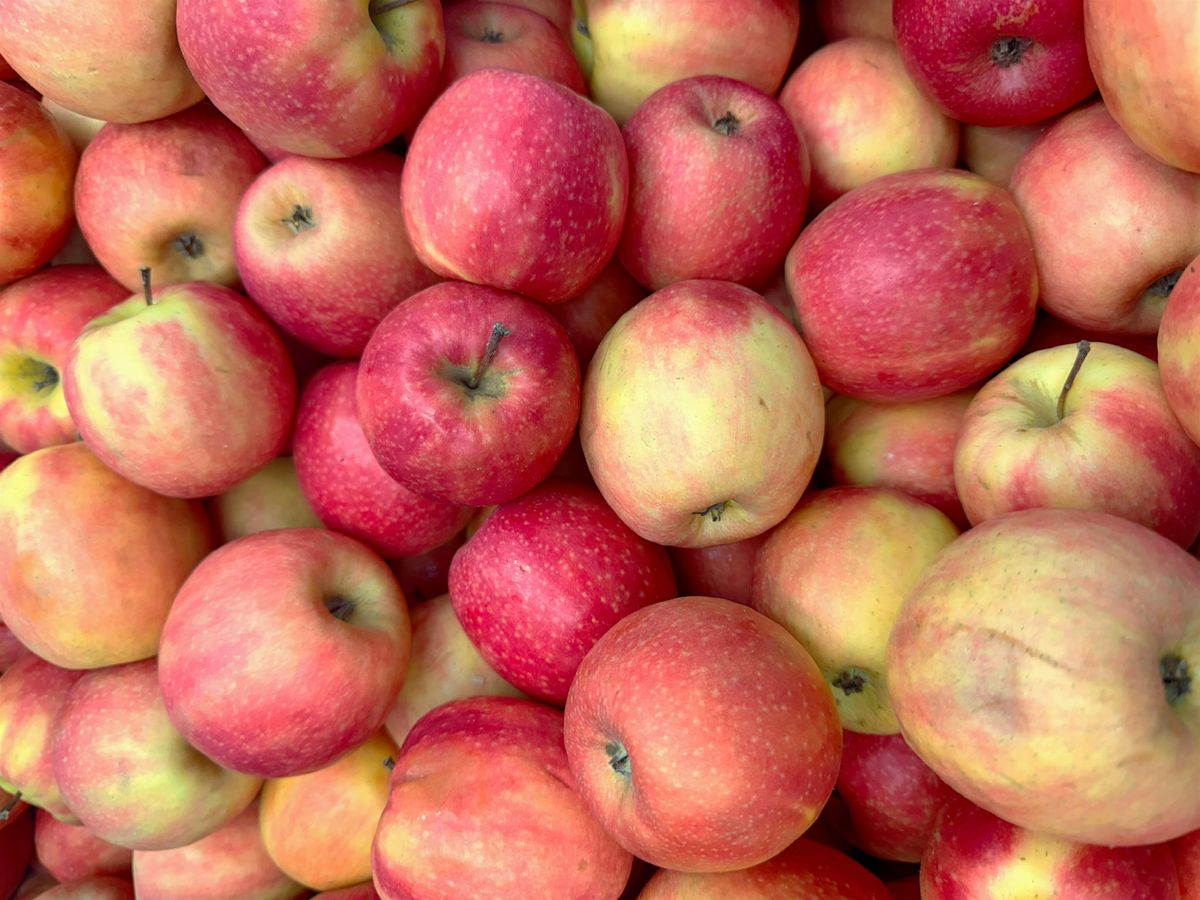 Free Apple Day at Fairgrown Farm