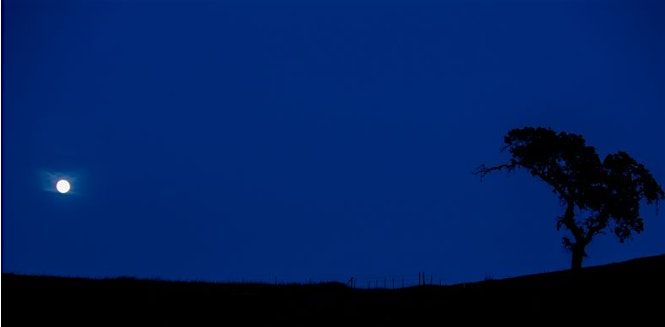 Full Moon Hike Series at Coyote Valley Open Space Preserve
