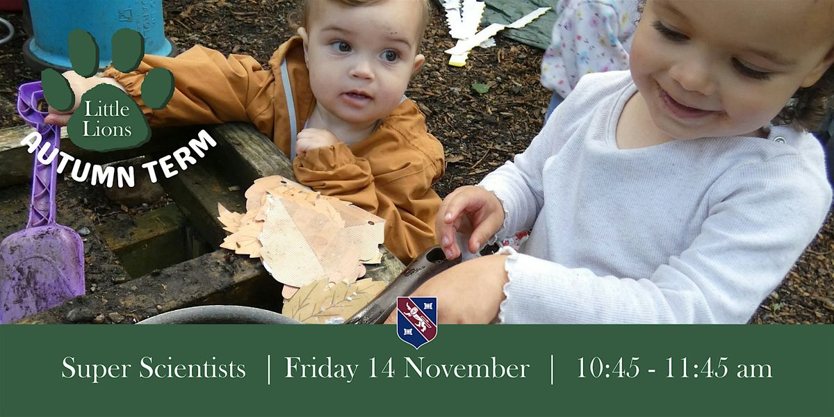Little Lions - 1 session (14 November 2025)