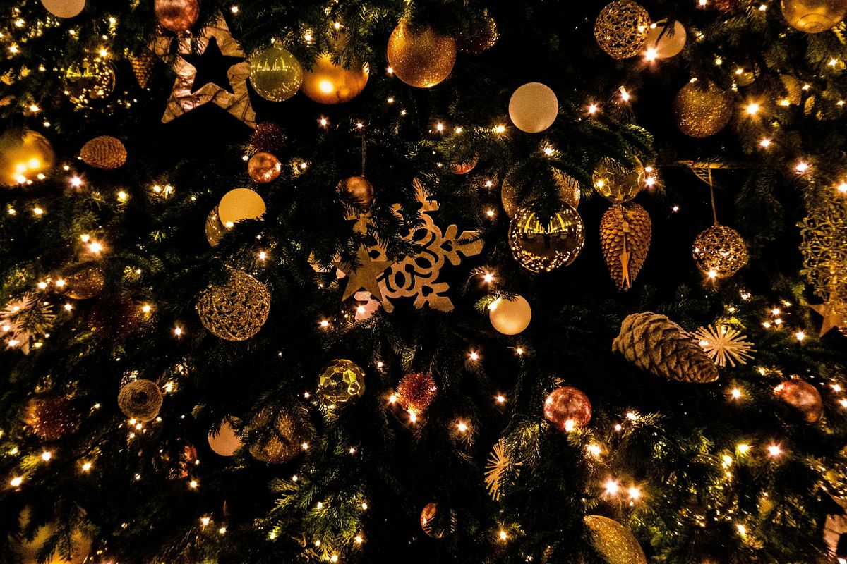 Christmas Eve Boxes & Story Time at Chester Lane Library