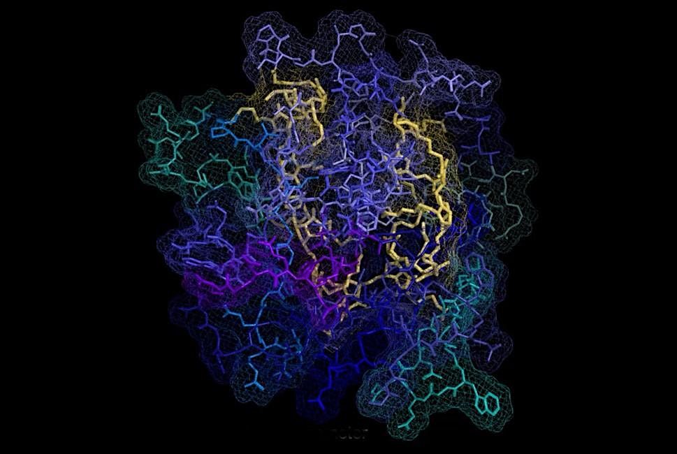 2025 IIN Rosemary Schnell Symposium: Nanoscience Unleashed