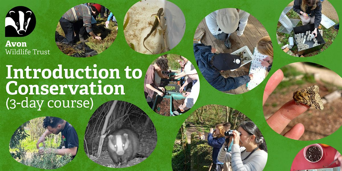 Youth Event: Introduction to Conservation (3-day course)