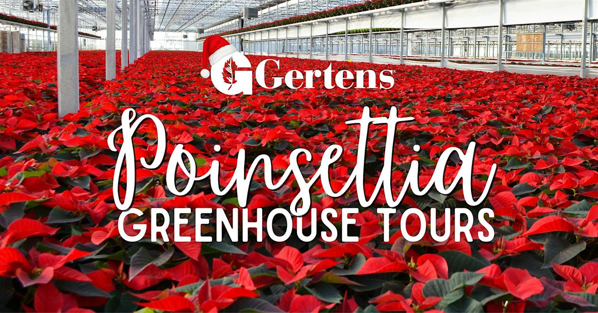 Gertens Poinsettia Greenhouse Tour