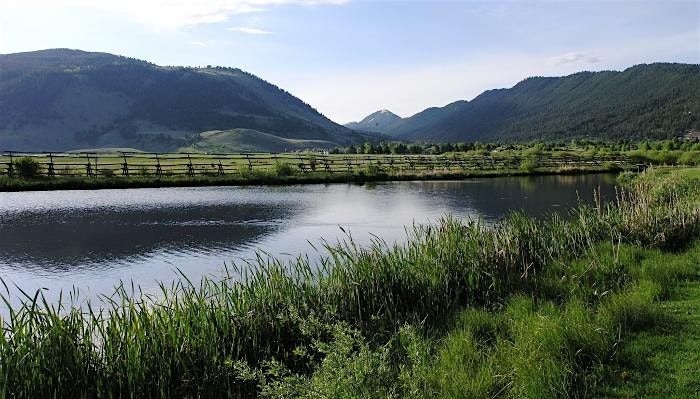 Awesome Scavenger Hunt - More than Mountains in Jackson, Wyoming