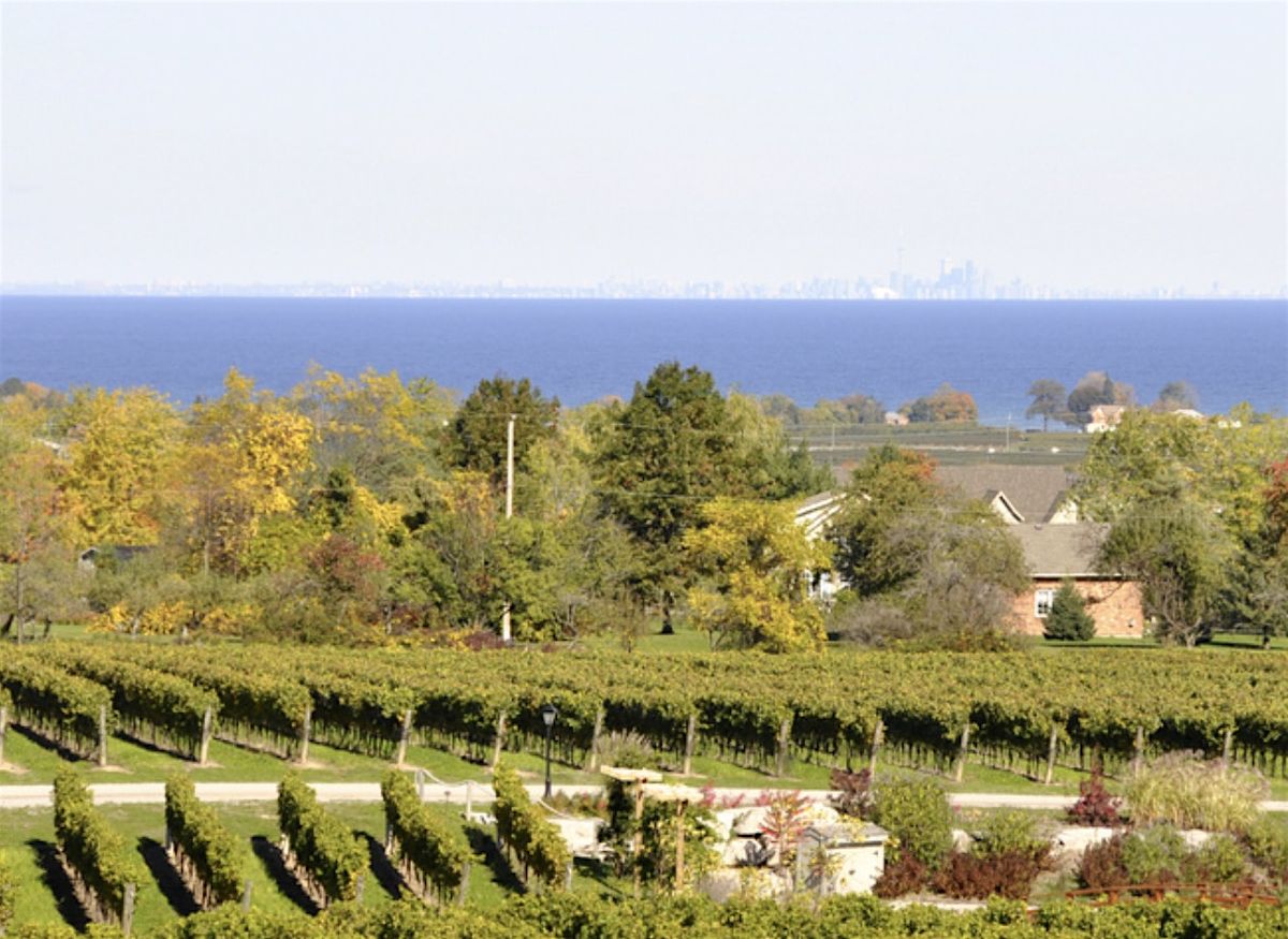 Spring Wine Preview\u2014$50