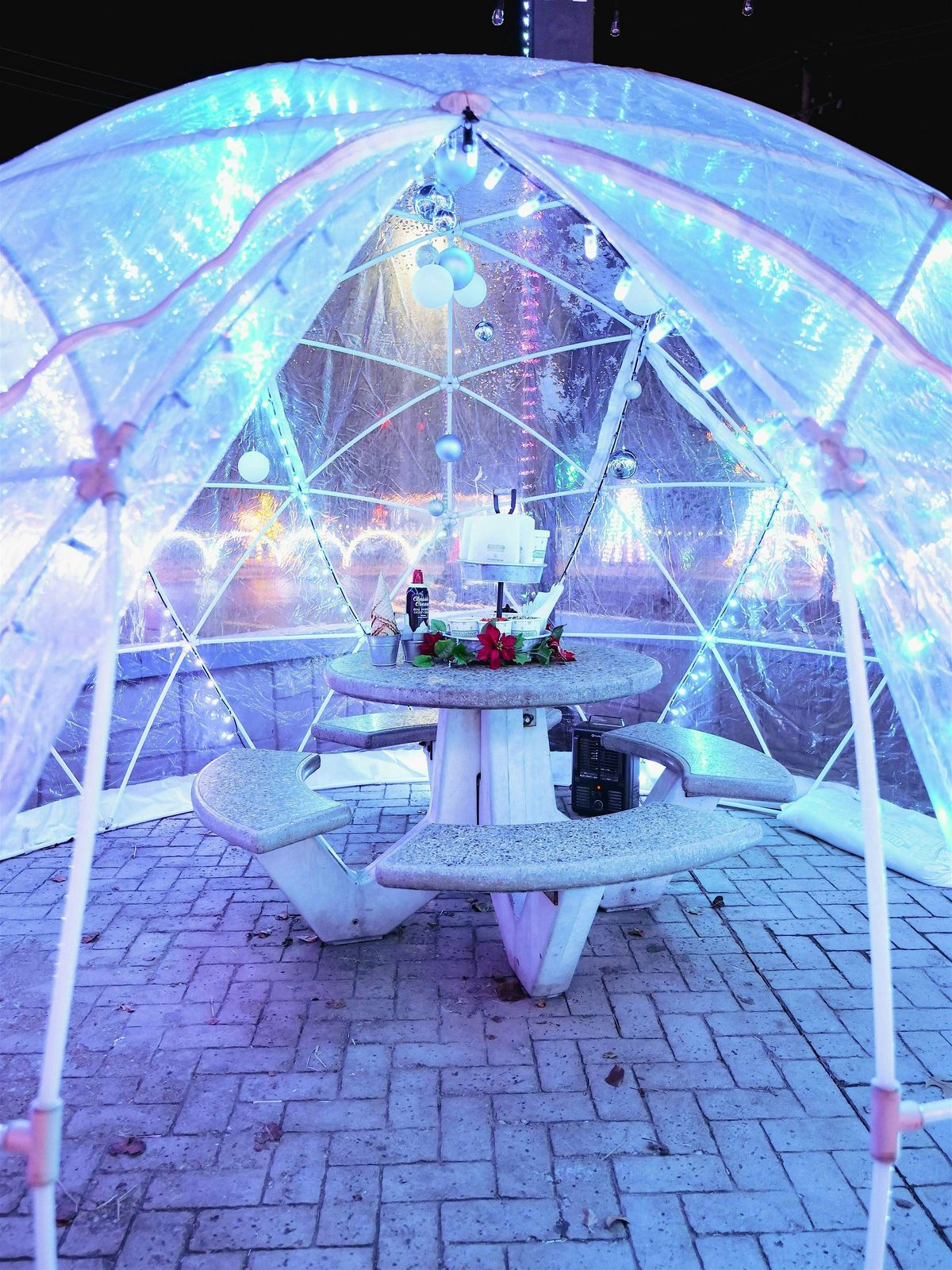 Homer Glen Creamery Holiday Igloo Sundae Bar Experience