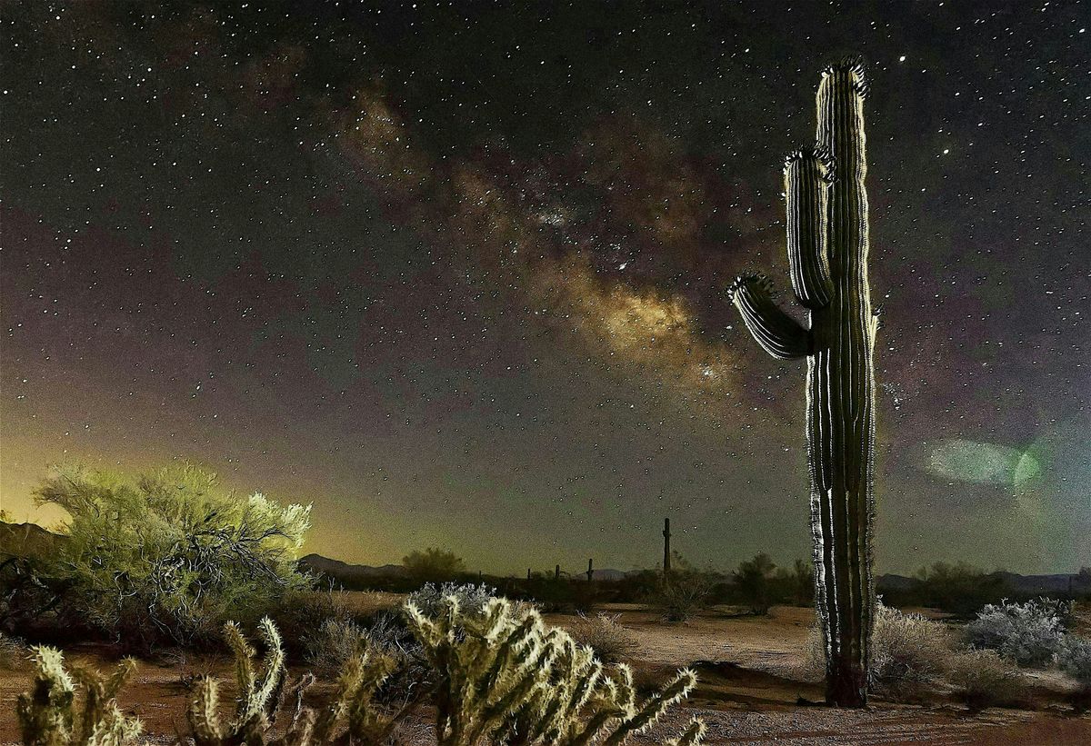 Sonoran Solstice