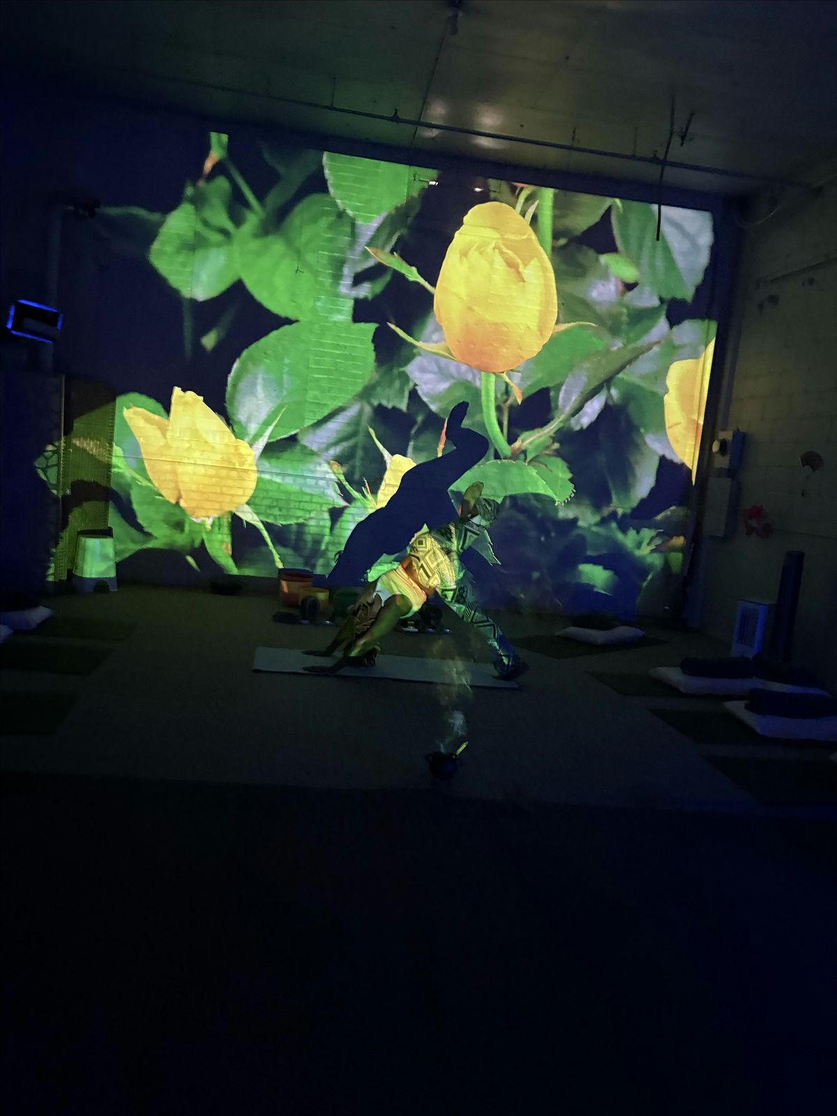 Blossom You Immersive Yoga