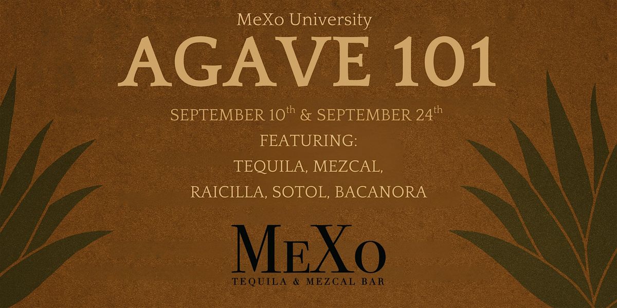 MeXo University: Agave Spirits 101