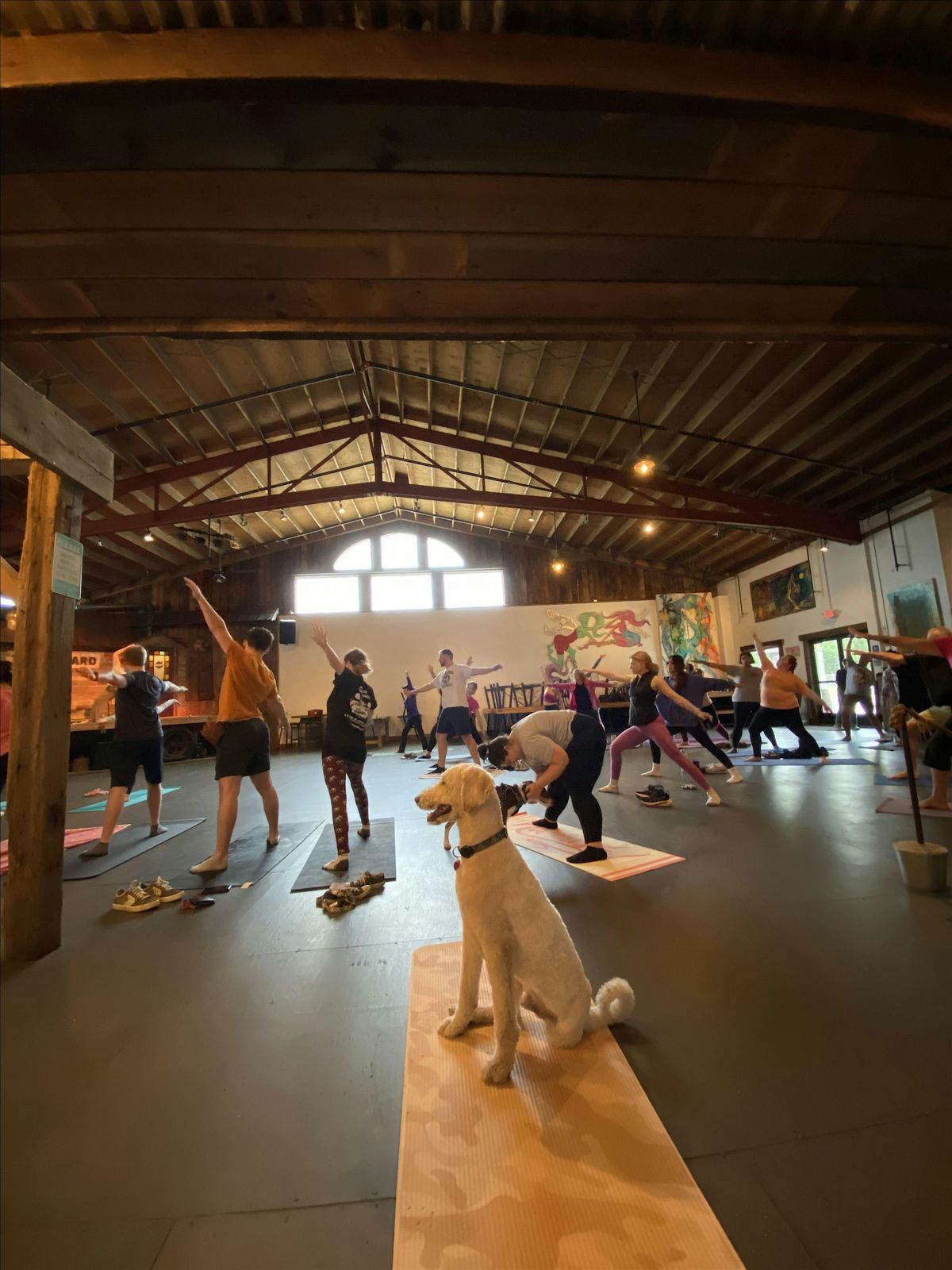 Puppy Yoga at Timberyard