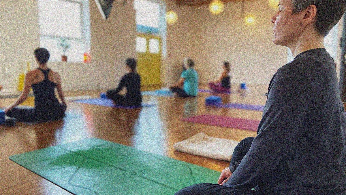 Beginners Introduction To Yoga Course