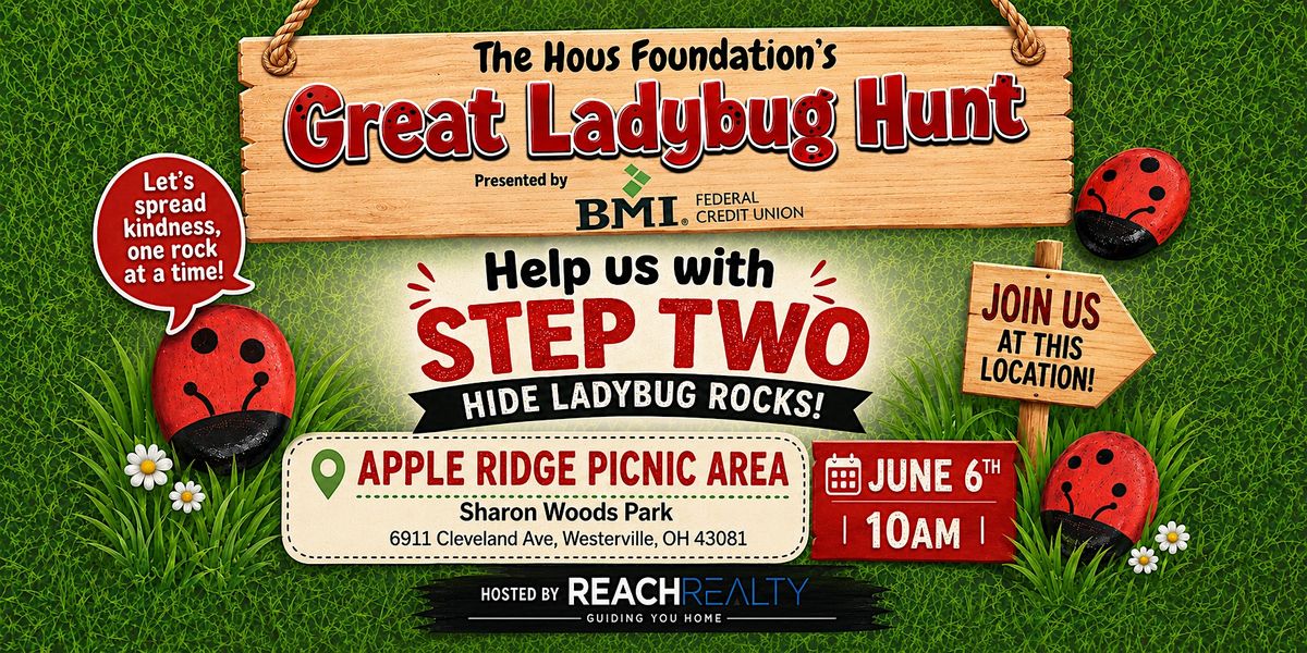 Great Ladybug Hunt - Step 2