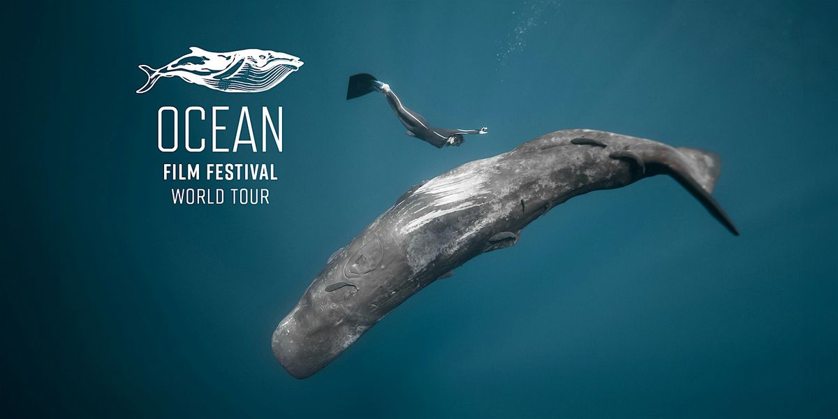 Ocean Film Festival - Dorking - 13 November 2025