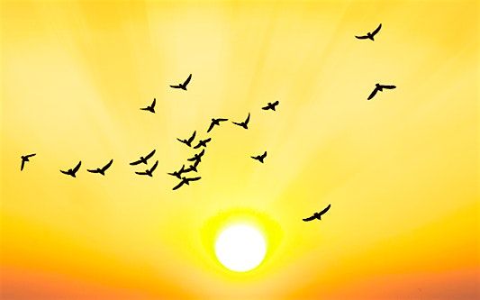 Gott ist Gott - und wer bist du?