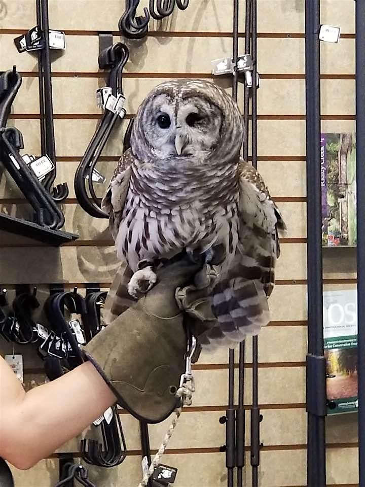 Whooo\u2019s Out There- Session 1