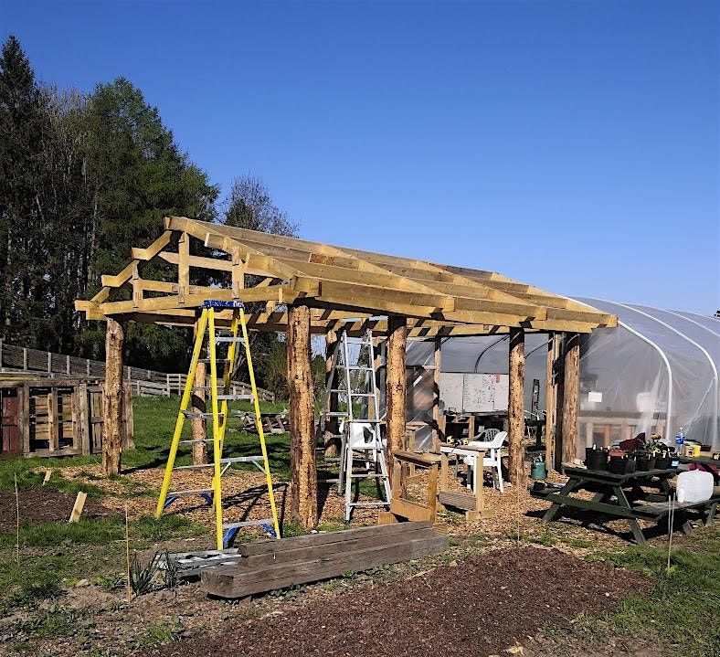 SHED BUILDING SKILLS
