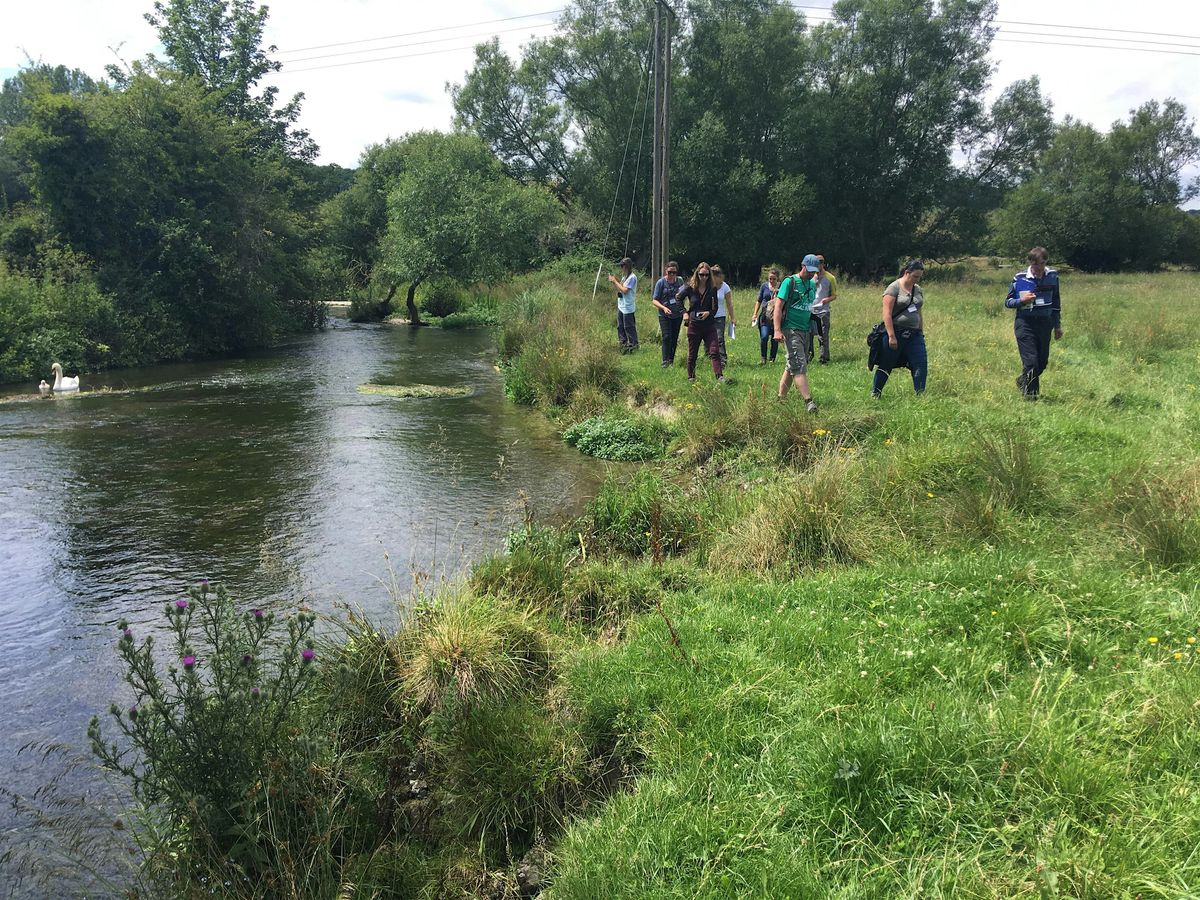 Aquatic Plants (Rivers and Ponds)