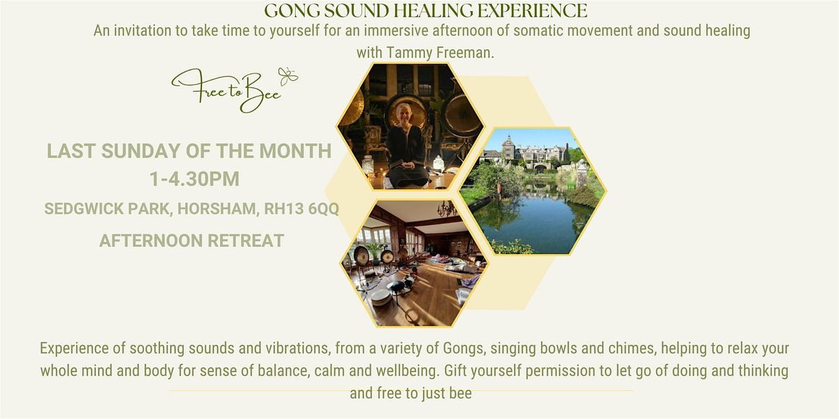 Sedgwick Park Gong Sound Healing Experience with Tammy Freeman