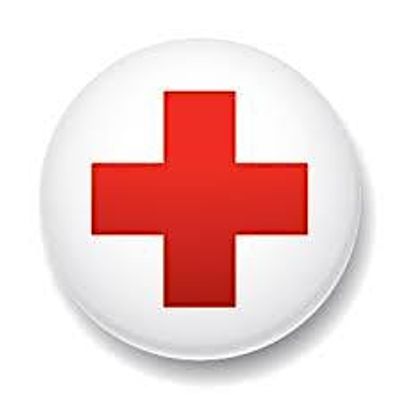American Red Cross LA- International Services