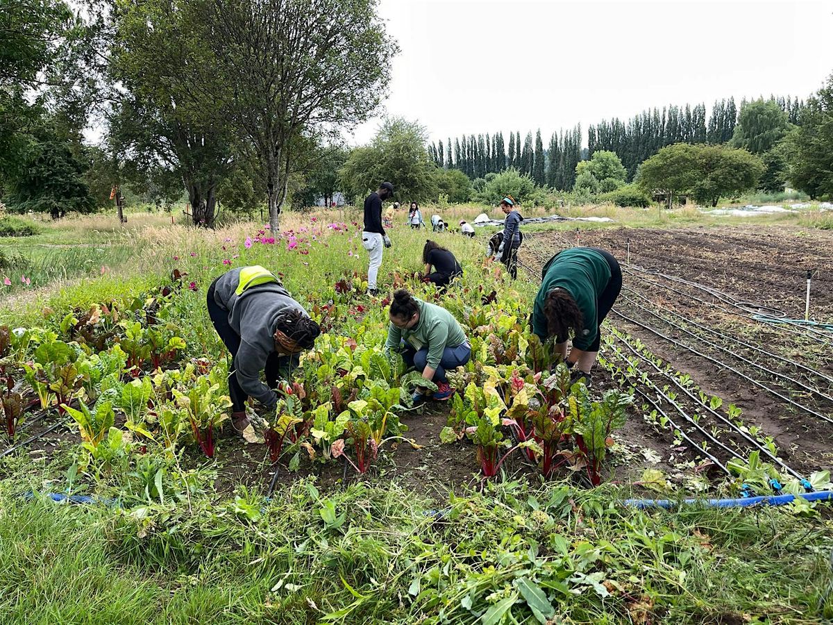 Volunteer at 21 Acres: Farm Stewardship