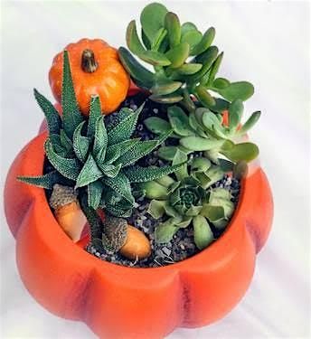 SIP & MAKE: Pumpkin Terrariums