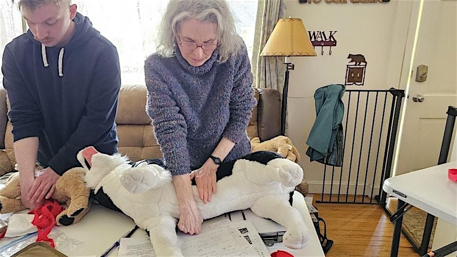 PetSaver\u2122 Pet CPR, First Aid & Care