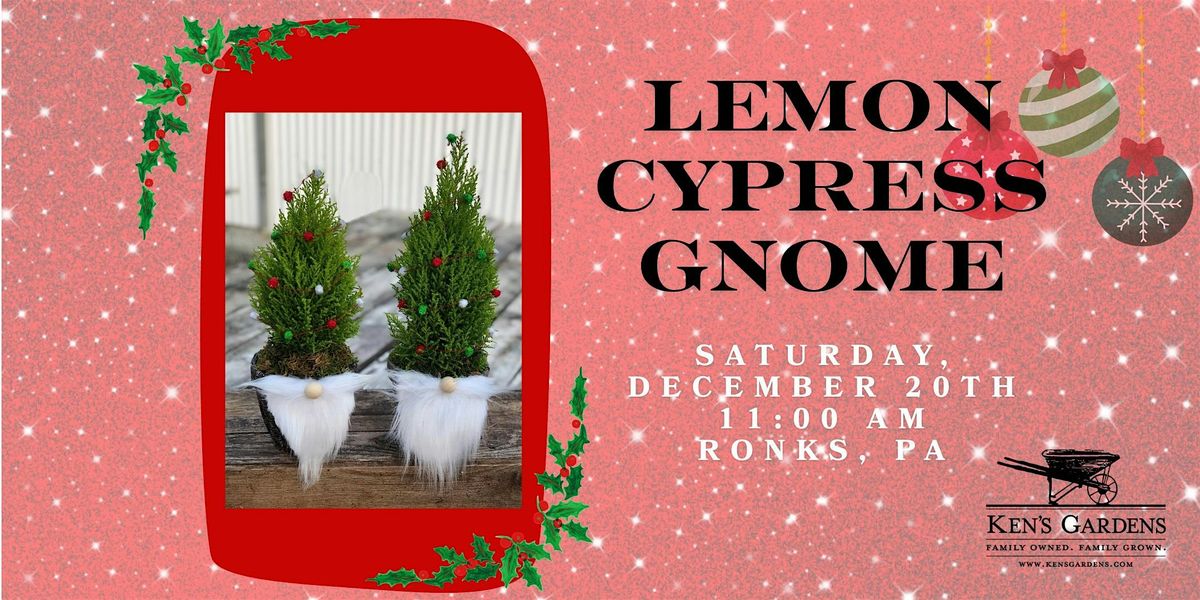 Lemon Cypress Gnome (Intercourse)