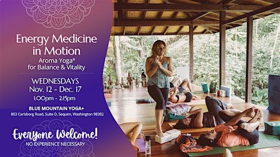 Energy Medicine In Motion: Aroma Yoga\u00ae Series