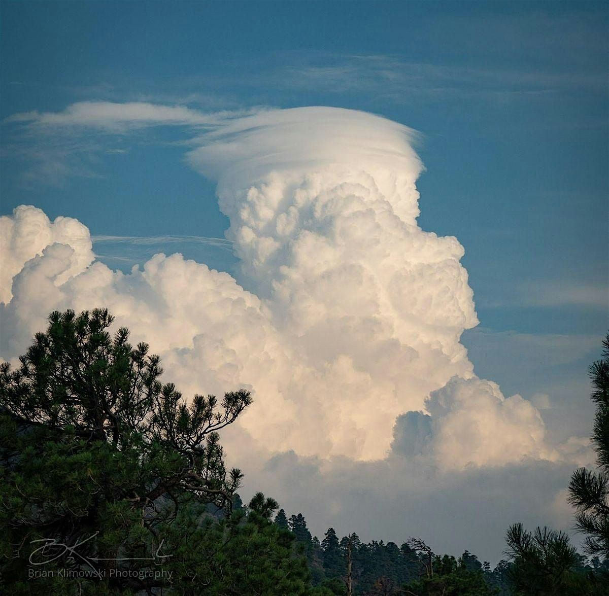 Cloud Walk at Buffalo Park