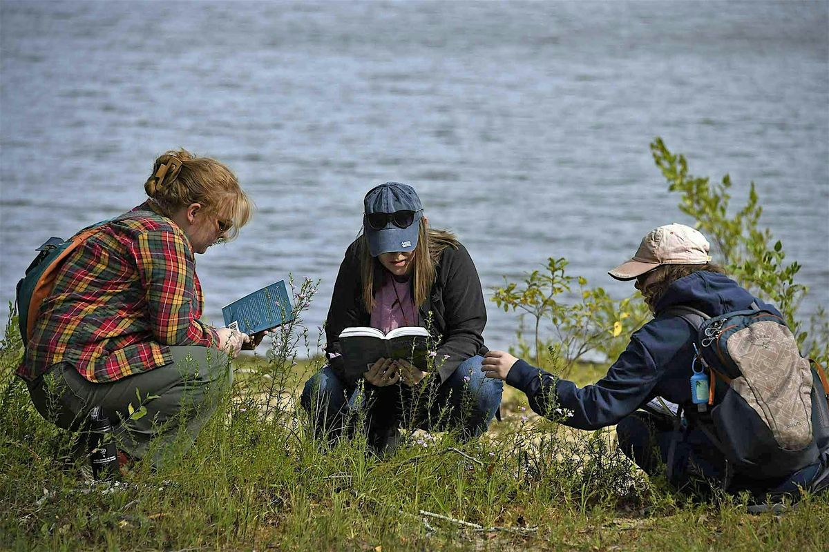 Flora Field Day: Allens Creek SRA