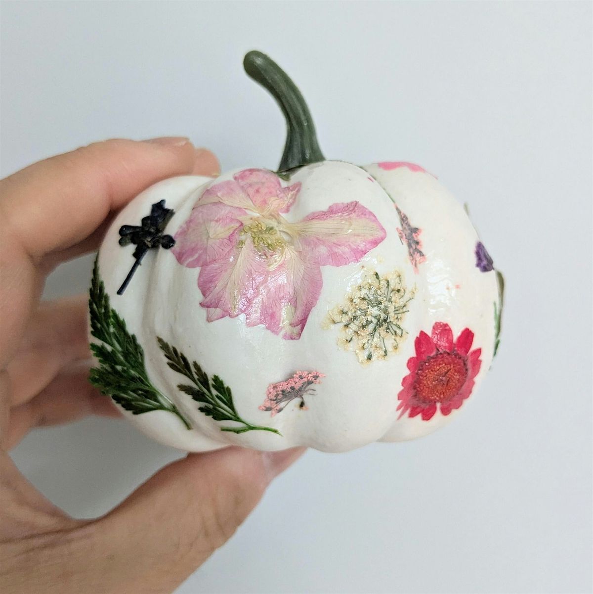 Pressed Floral Mini Pumpkins