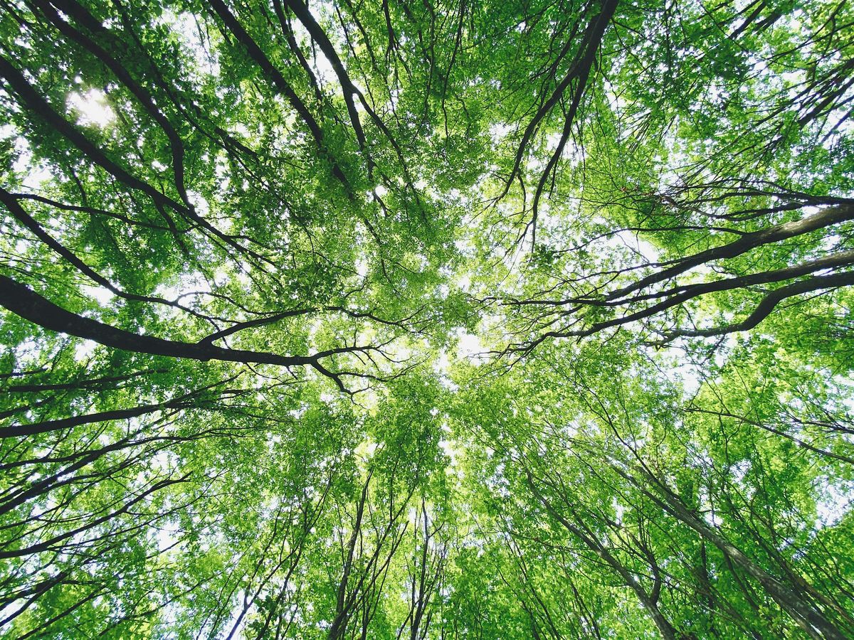 Dinner + Lecture: Holistic Approach to Balancing Hormones after 40