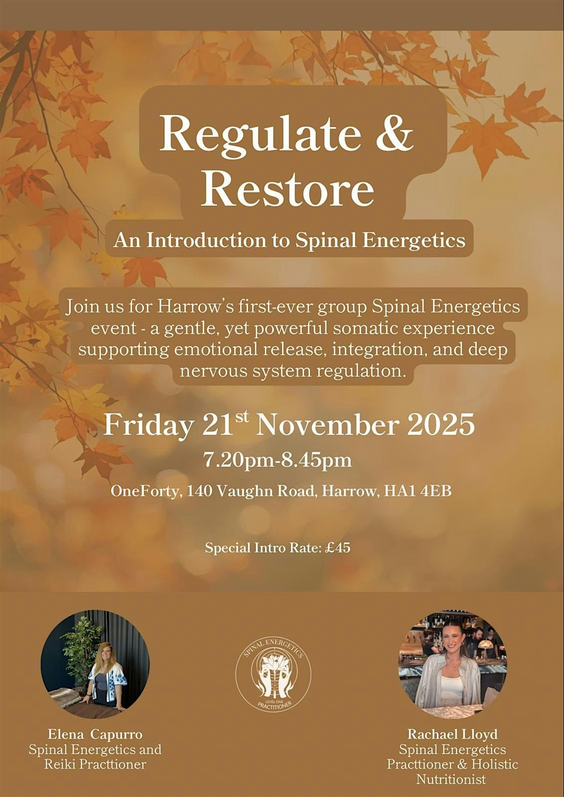 Regulate & Restore- An Introduction To Spinal Energetics